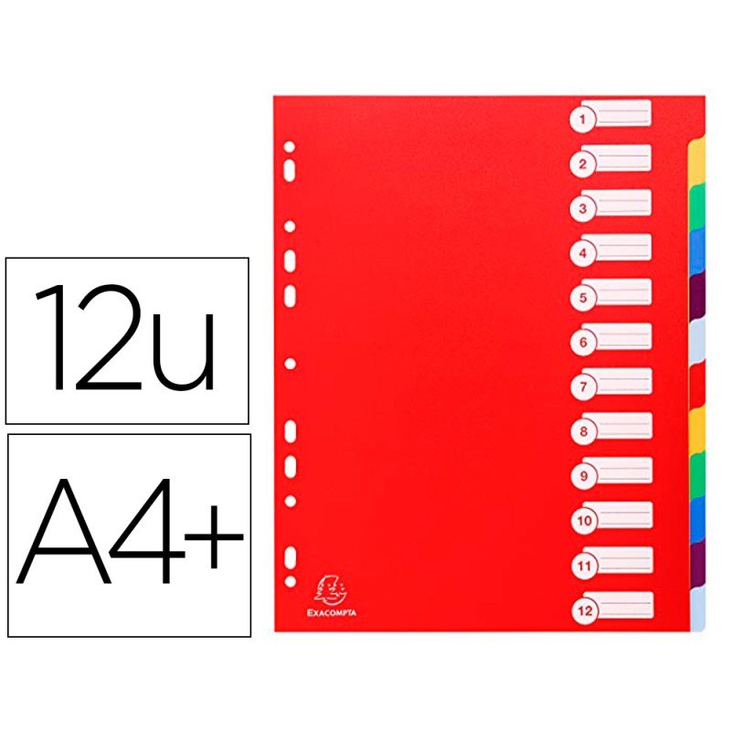 INTERCALAIRE EXACOMPTA POLYPROPYLÈNE 12/100E SOUPLE INDÉCHIRABLE 12 TOUCHES A4+ COLORIS ASSORTIS