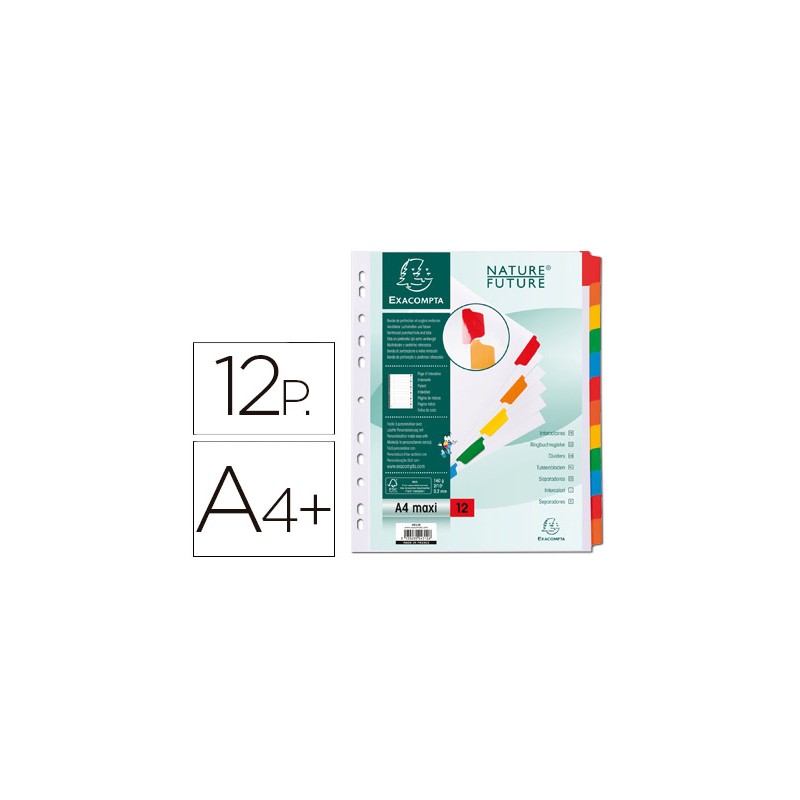 INTERCALAIRE EXACOMPTA CARTE BLANCHE 160G 12 POSITIONS A4+ CARTE ONGLETS COULEUR RENFORCÉS